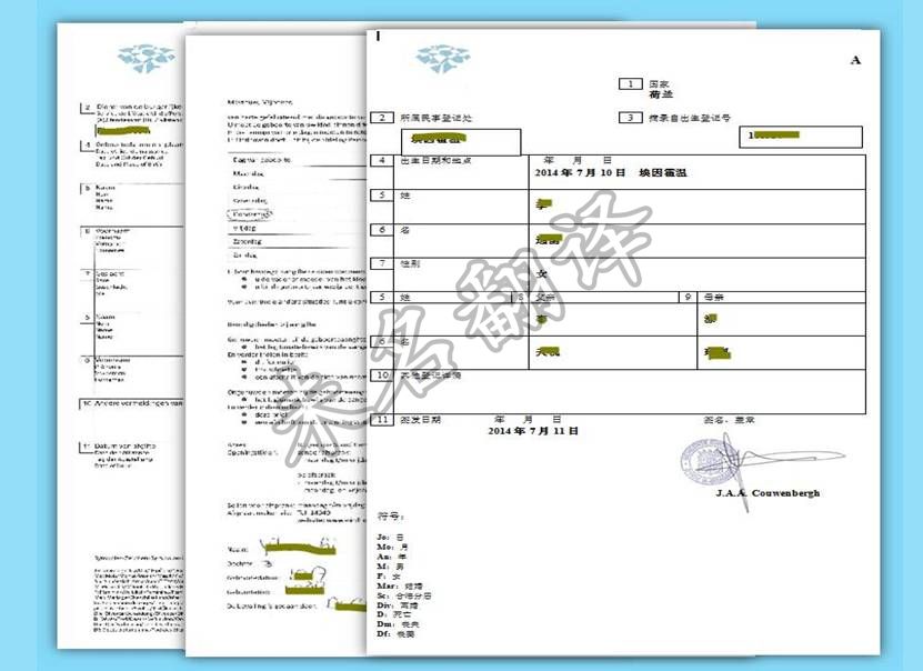 荷蘭出生證明翻譯模板