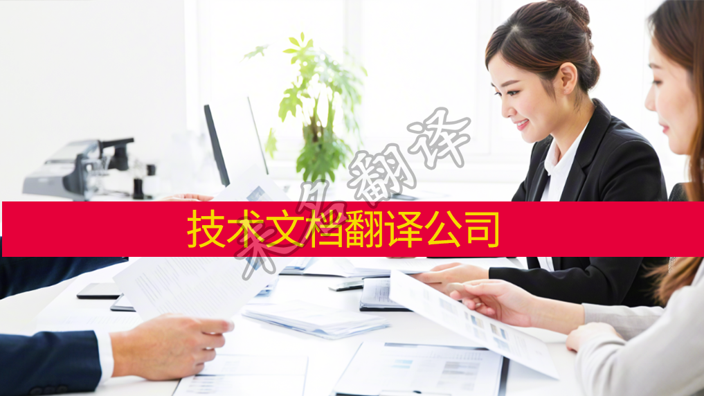 技術(shù)文檔翻譯